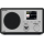 Radio i budzik TechniSat RADIO INTERNETOWE TECHNISAT DIGITRADIO 303 SWR3 Edition, cza